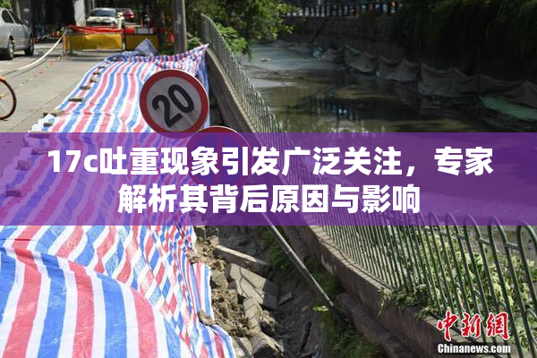 17c吐重现象引发广泛关注，专家解析其背后原因与影响