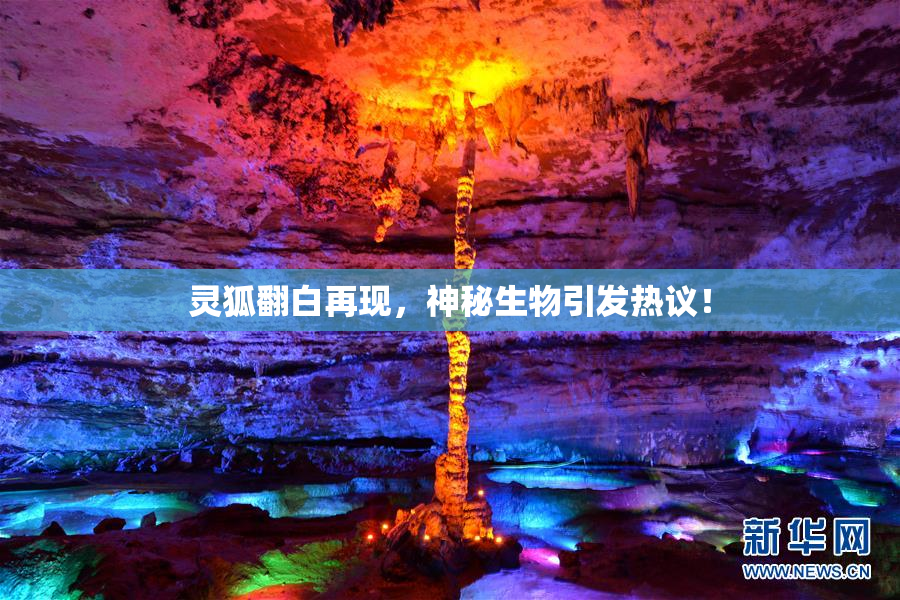 灵狐翻白再现，神秘生物引发热议！