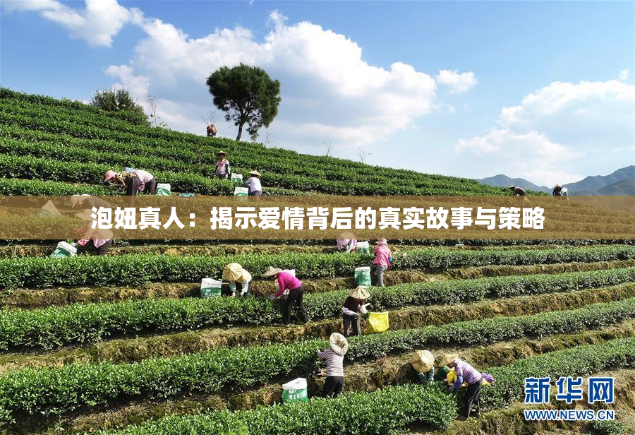 泡妞真人：揭示爱情背后的真实故事与策略