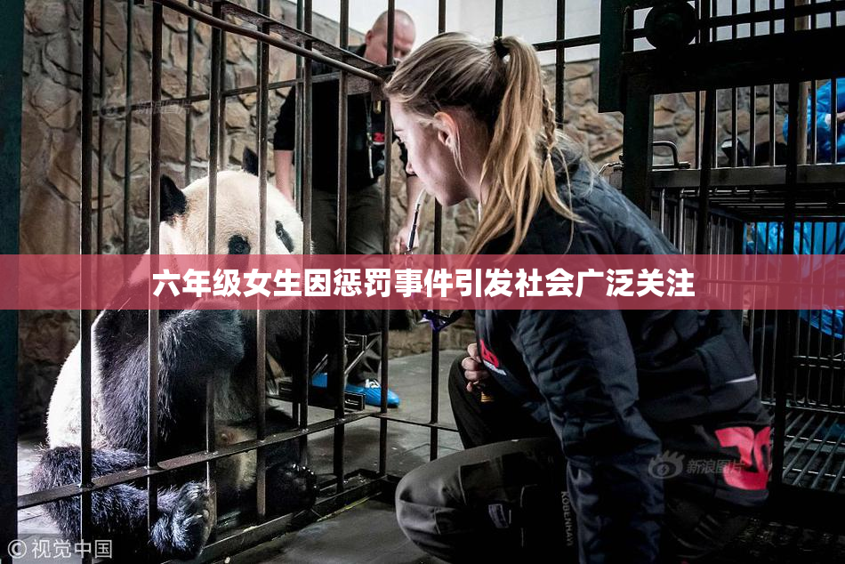 六年级女生因惩罚事件引发社会广泛关注