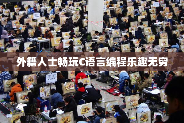 外籍人士畅玩C语言编程乐趣无穷
