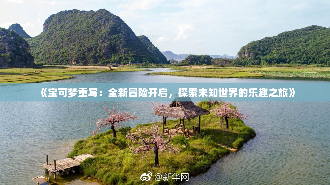 《宝可梦重写：全新冒险开启，探索未知世界的乐趣之旅》