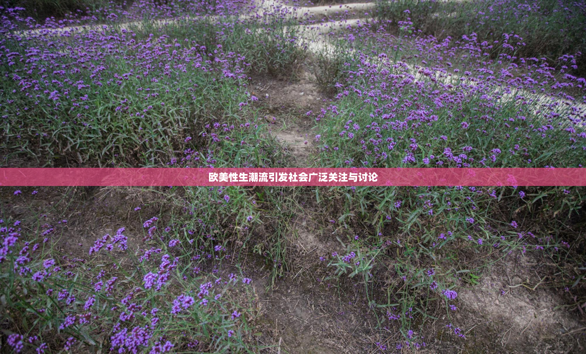 欧美性生潮流引发社会广泛关注与讨论