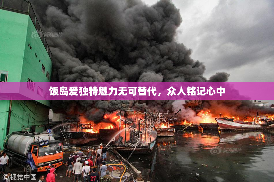 饭岛爱独特魅力无可替代，众人铭记心中