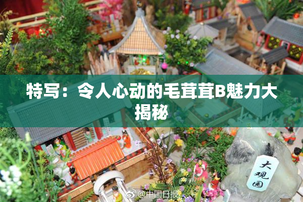 特写：令人心动的毛茸茸B魅力大揭秘