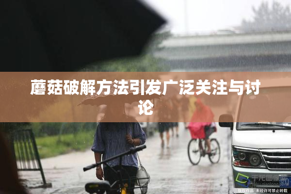 蘑菇破解方法引发广泛关注与讨论