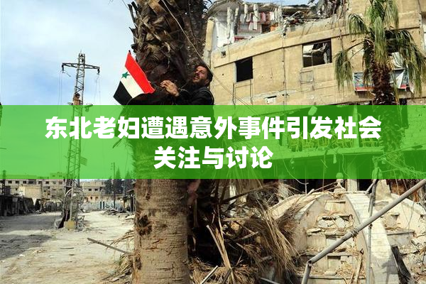 东北老妇遭遇意外事件引发社会关注与讨论