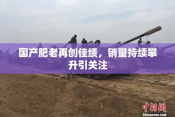 国产肥老再创佳绩，销量持续攀升引关注
