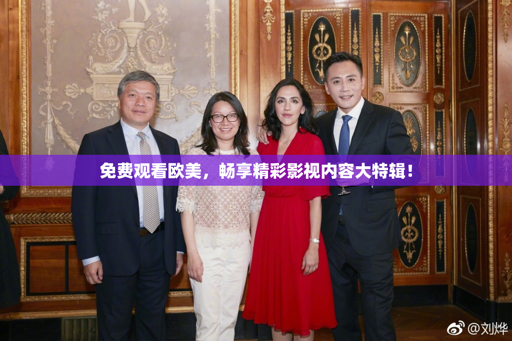 免费观看欧美，畅享精彩影视内容大特辑！