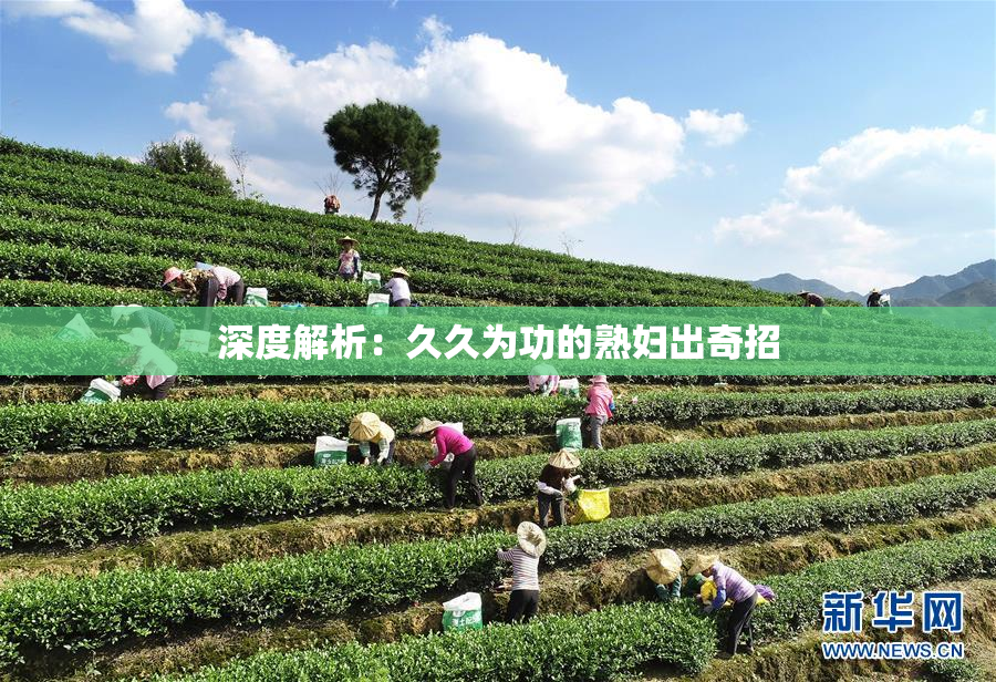 深度解析：久久为功的熟妇出奇招