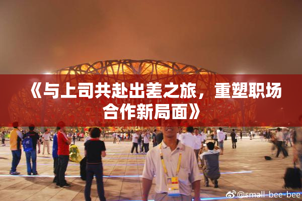 《与上司共赴出差之旅，重塑职场合作新局面》