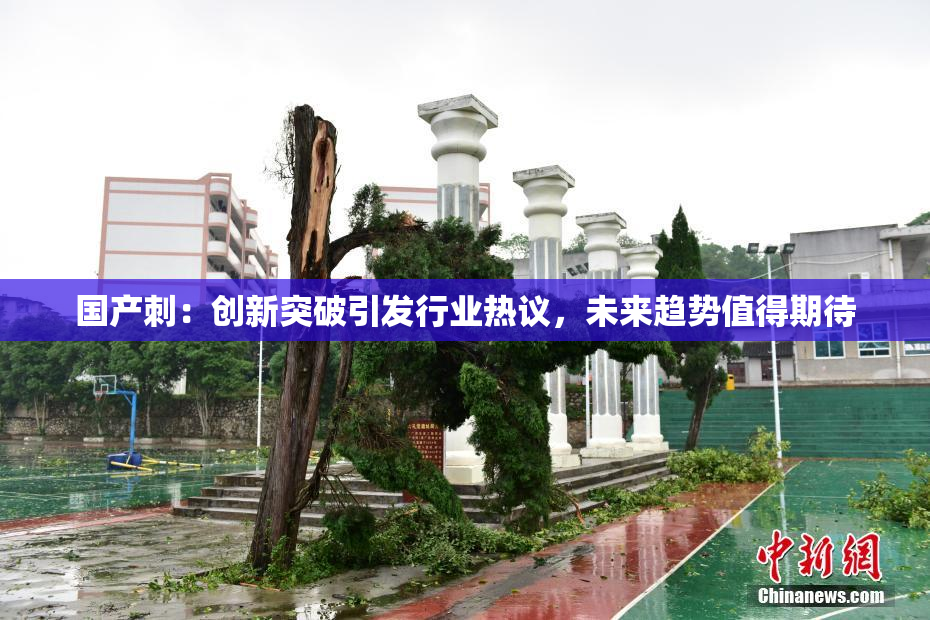 国产刺：创新突破引发行业热议，未来趋势值得期待