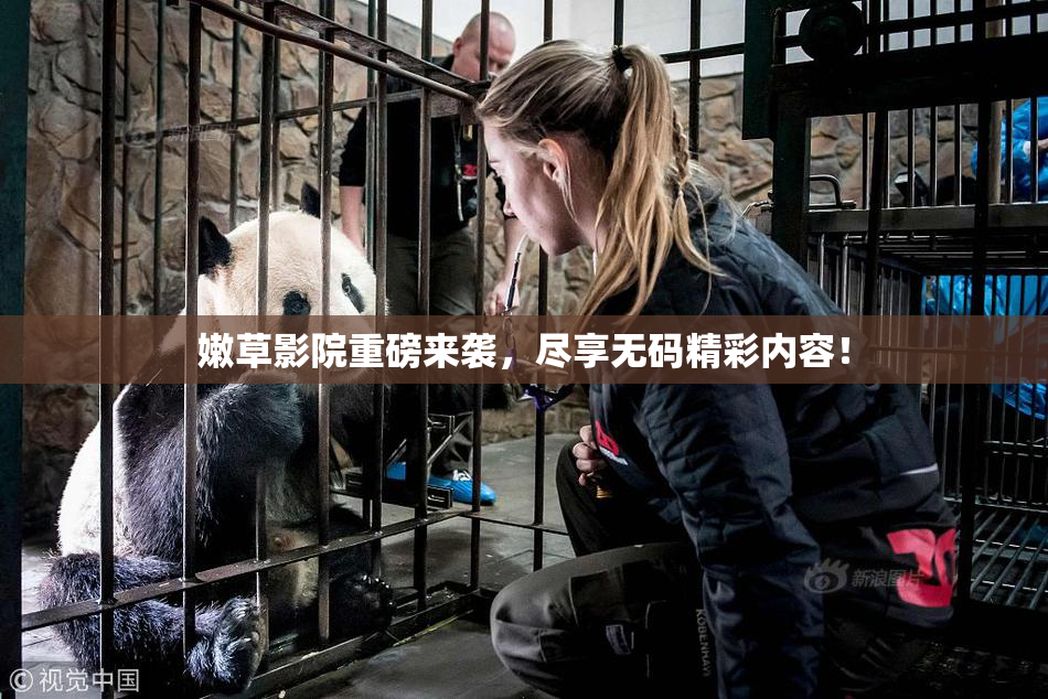 嫩草影院重磅来袭，尽享无码精彩内容！