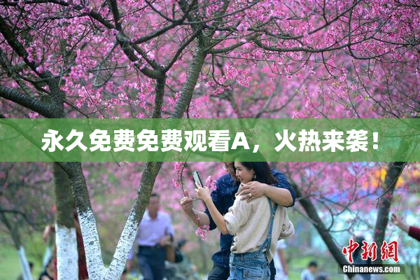 永久免费免费观看A，火热来袭！