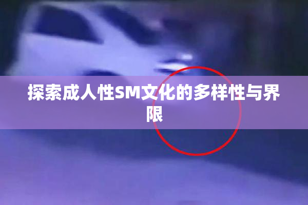 探索成人性SM文化的多样性与界限