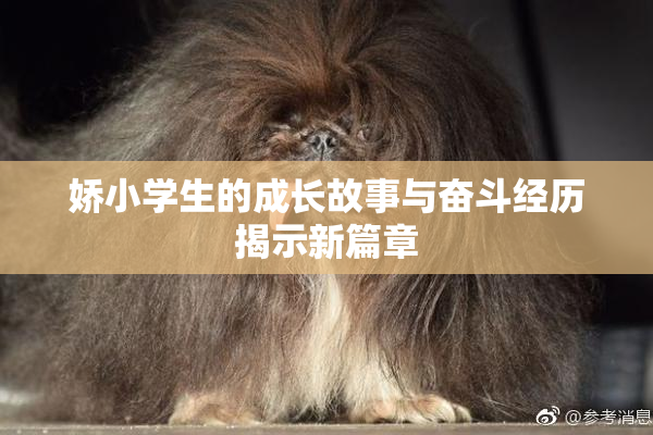 娇小学生的成长故事与奋斗经历揭示新篇章
