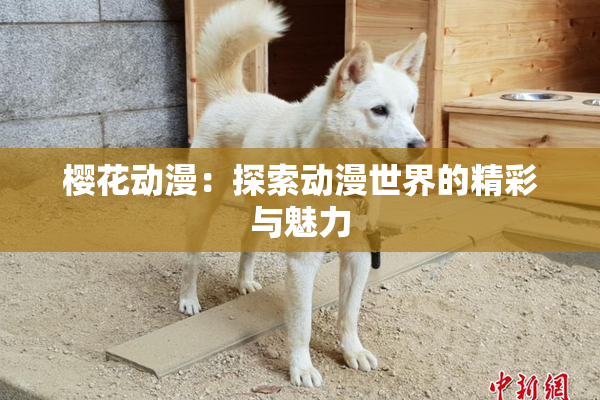 樱花动漫：探索动漫世界的精彩与魅力