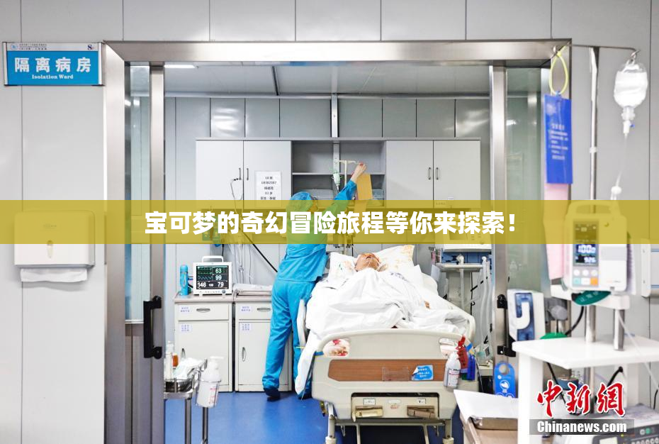 宝可梦的奇幻冒险旅程等你来探索！