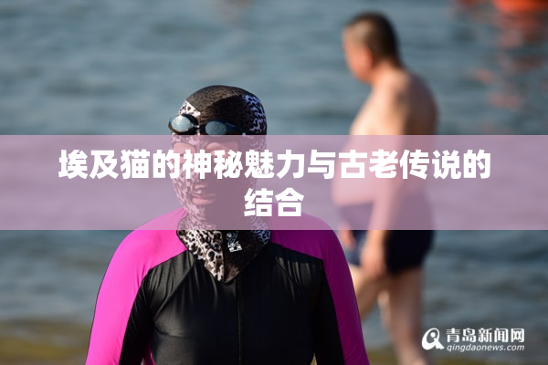 埃及猫的神秘魅力与古老传说的结合