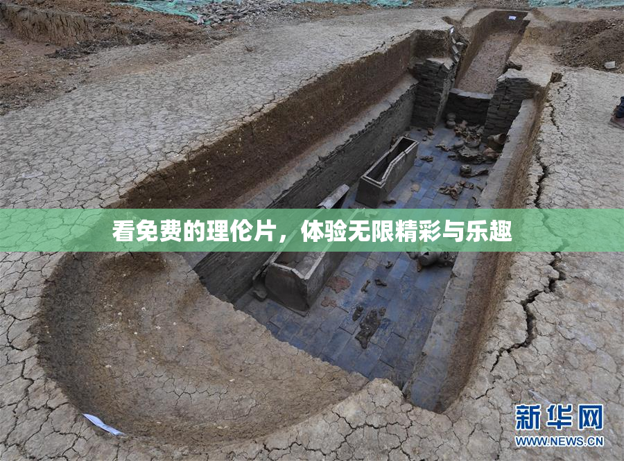 看免费的理伦片，体验无限精彩与乐趣