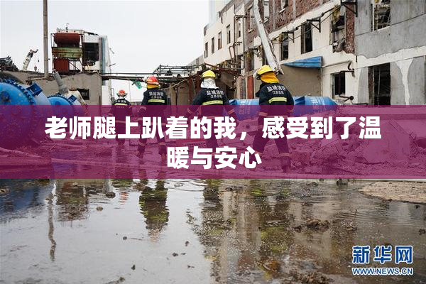 老师腿上趴着的我，感受到了温暖与安心