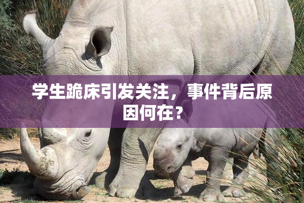 学生跪床引发关注，事件背后原因何在？