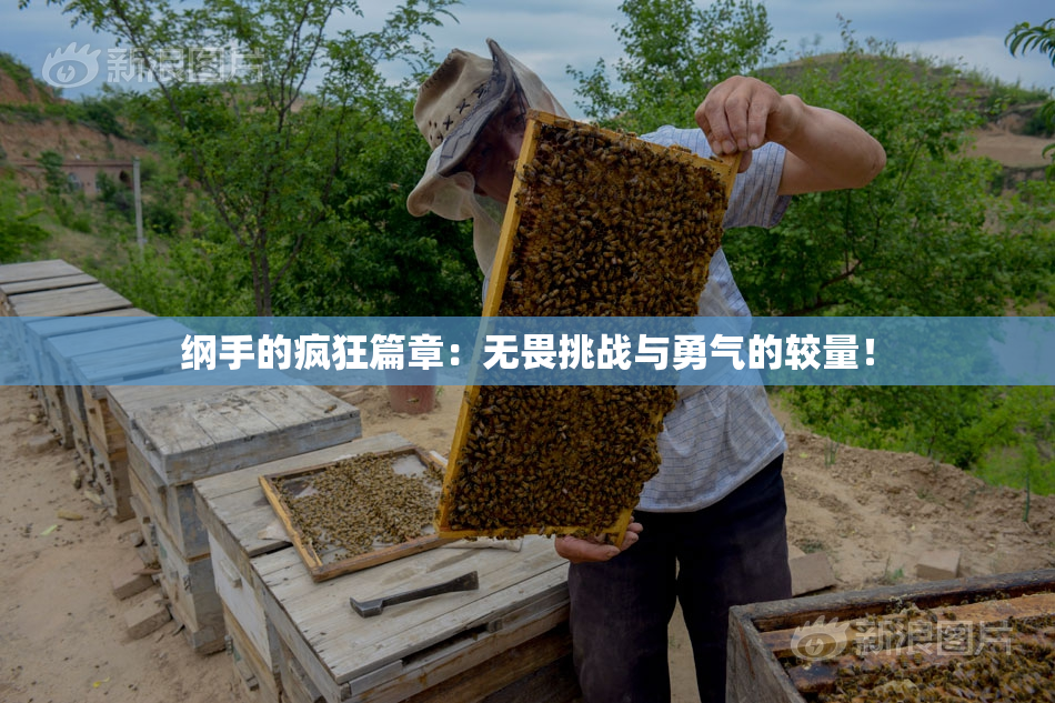 纲手的疯狂篇章：无畏挑战与勇气的较量！