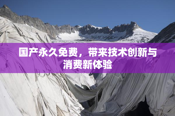 国产永久免费，带来技术创新与消费新体验