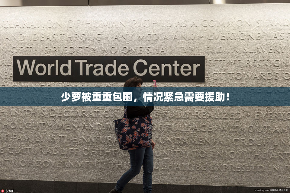 少萝被重重包围，情况紧急需要援助！