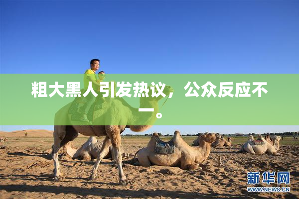 粗大黑人引发热议，公众反应不一。