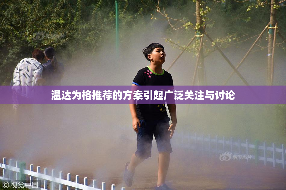 温达为格推荐的方案引起广泛关注与讨论