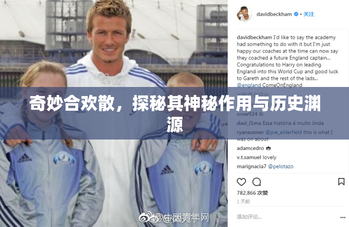 奇妙合欢散，探秘其神秘作用与历史渊源