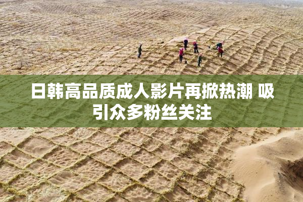 日韩高品质成人影片再掀热潮 吸引众多粉丝关注