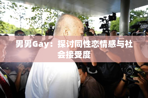 男男Gay：探讨同性恋情感与社会接受度