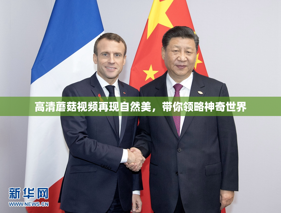 高清蘑菇视频再现自然美，带你领略神奇世界