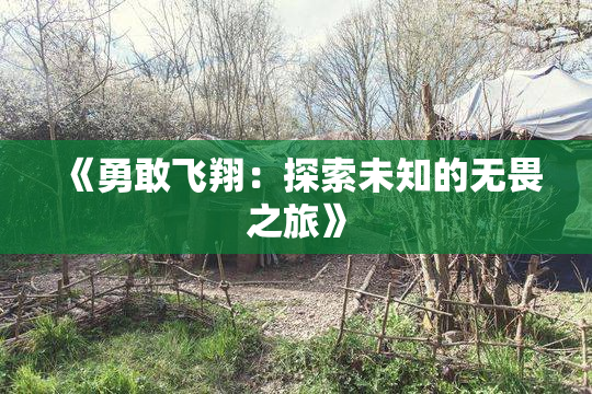 《勇敢飞翔：探索未知的无畏之旅》