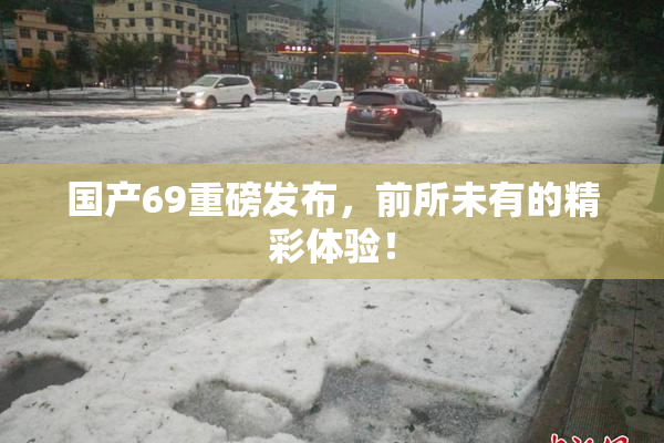 国产69重磅发布，前所未有的精彩体验！