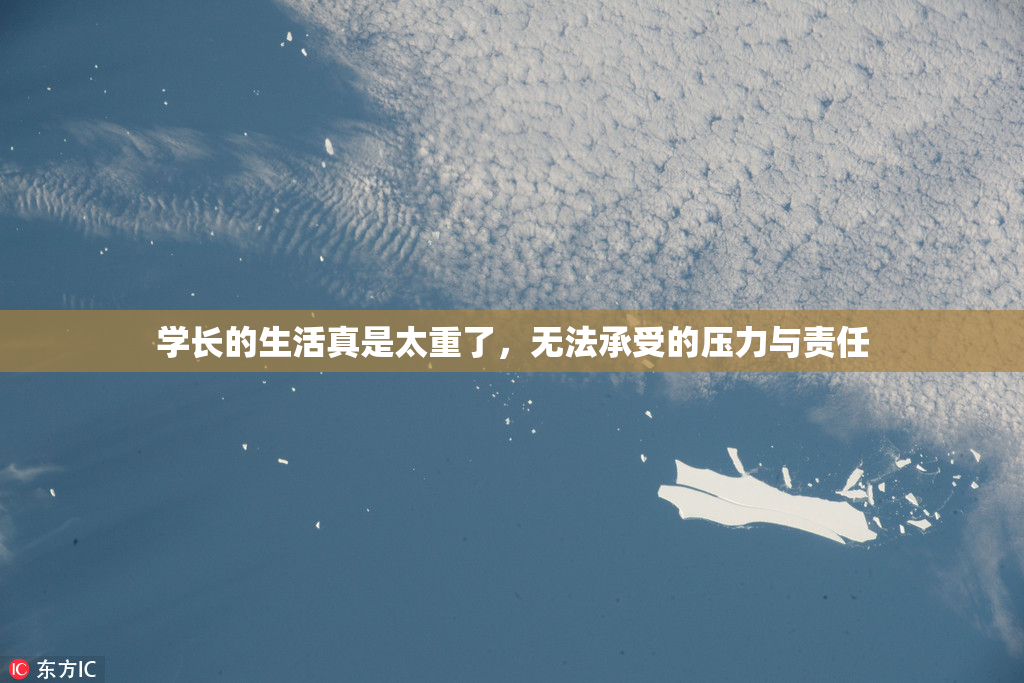 学长的生活真是太重了，无法承受的压力与责任
