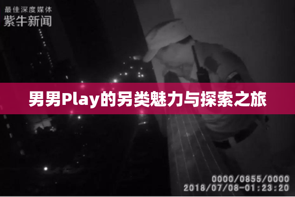 男男Play的另类魅力与探索之旅