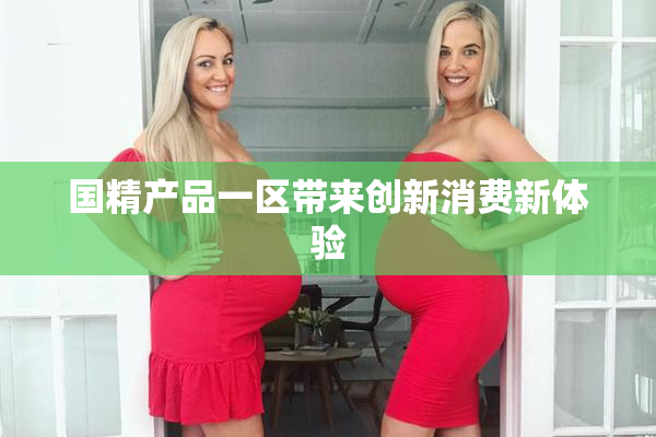 国精产品一区带来创新消费新体验