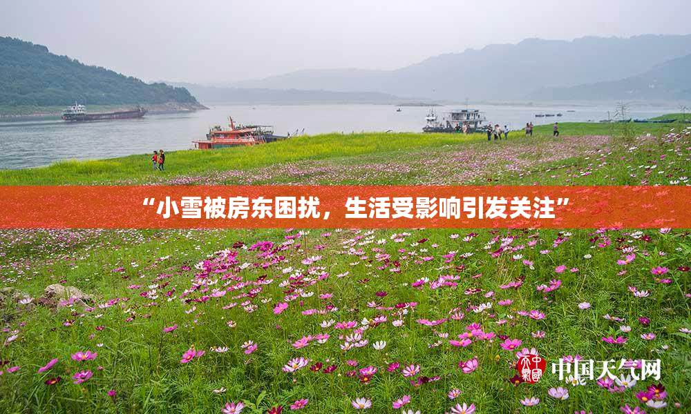 “小雪被房东困扰，生活受影响引发关注”