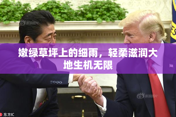 嫩绿草坪上的细雨，轻柔滋润大地生机无限