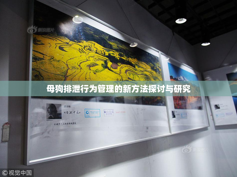 母狗排泄行为管理的新方法探讨与研究