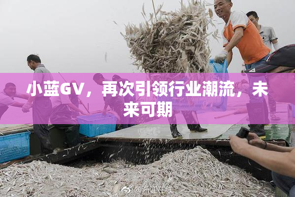 小蓝GV，再次引领行业潮流，未来可期