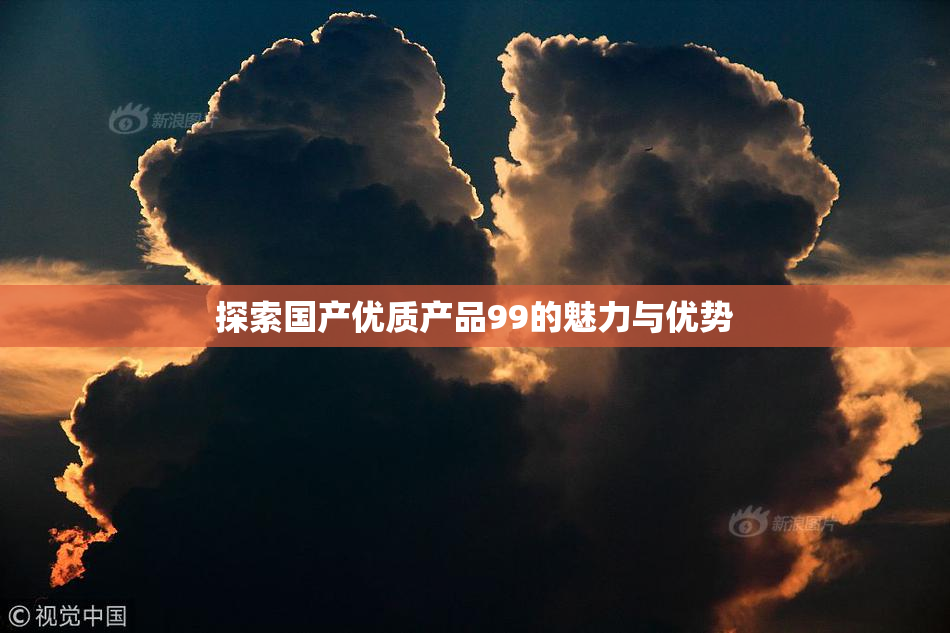 探索国产优质产品99的魅力与优势