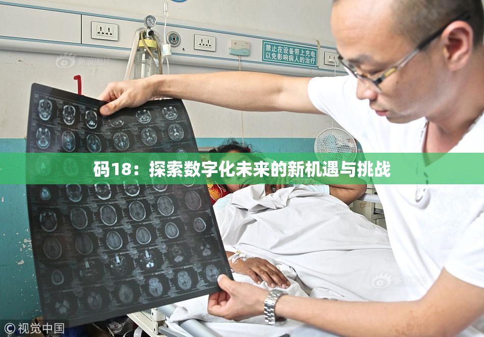 码18：探索数字化未来的新机遇与挑战