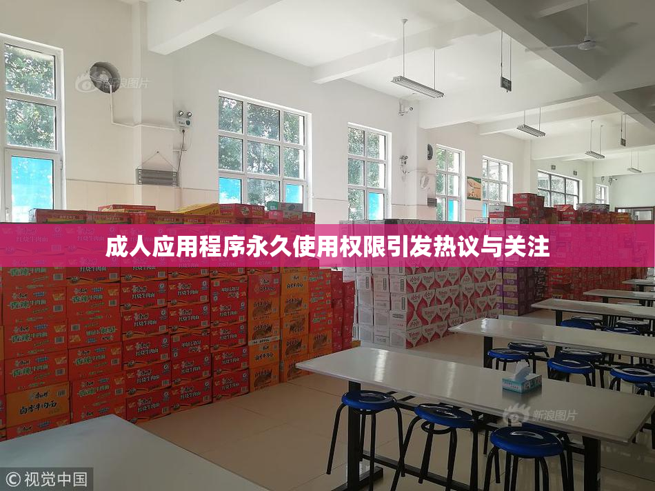 成人应用程序永久使用权限引发热议与关注