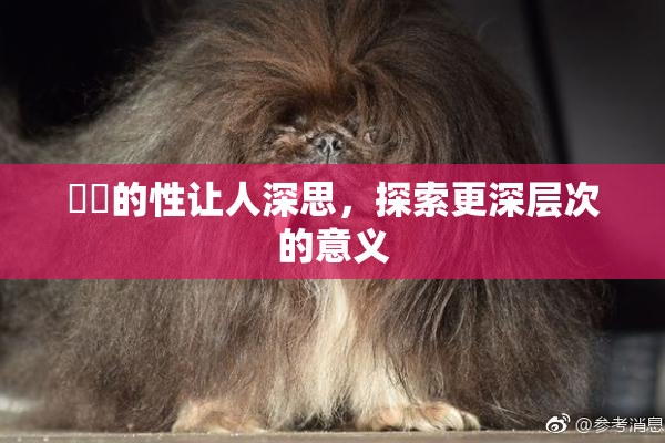 妺妺的性让人深思，探索更深层次的意义