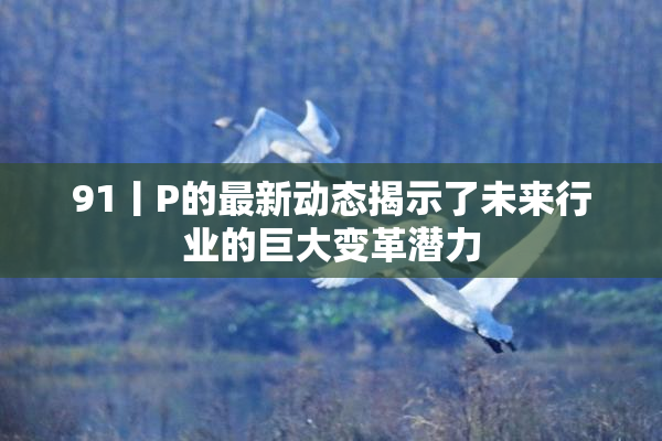 91丨P的最新动态揭示了未来行业的巨大变革潜力