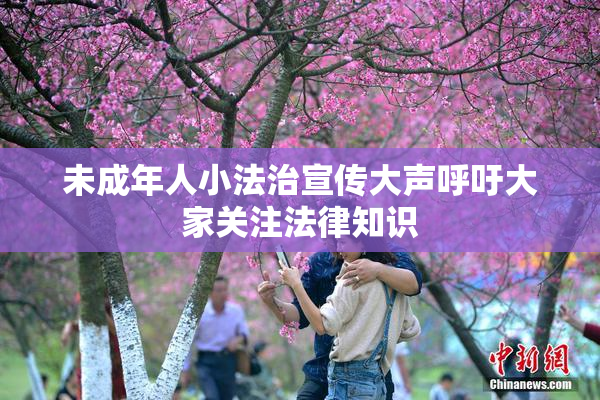 未成年人小法治宣传大声呼吁大家关注法律知识